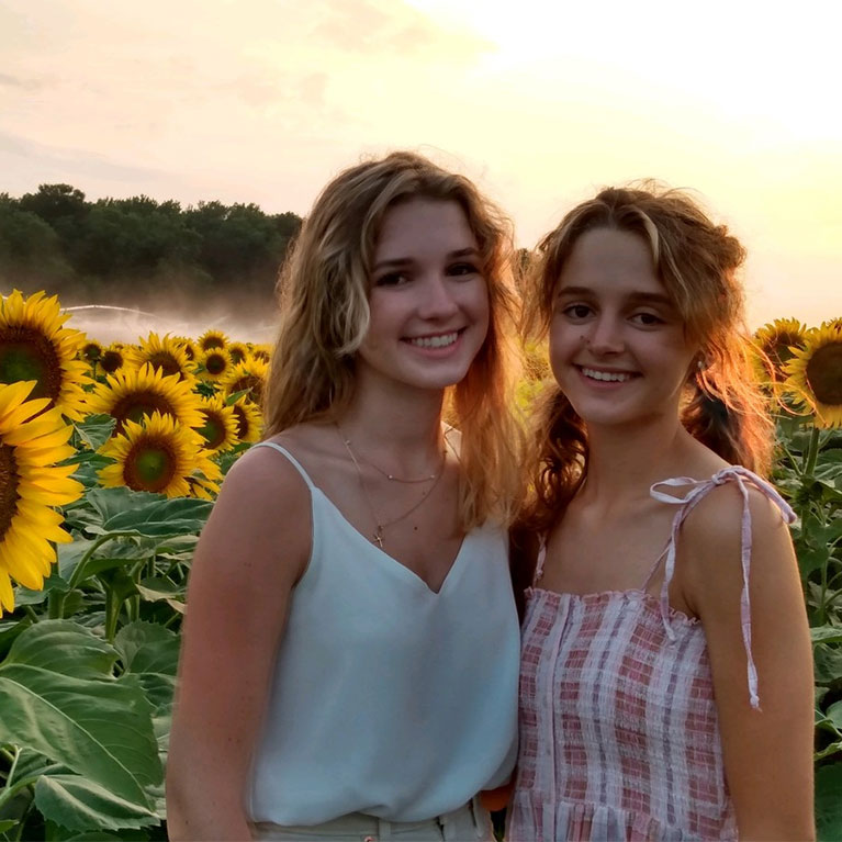 Take a photo amongst our sunflowers at Godfreys Farm