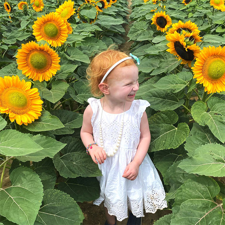 U-Cut Sunflower Field