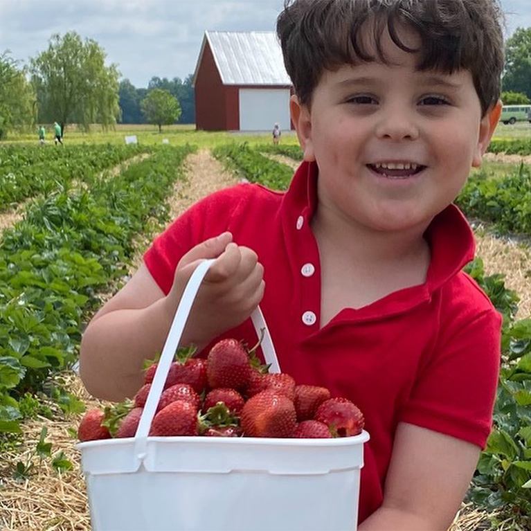 U-Pick Strawberry Patch